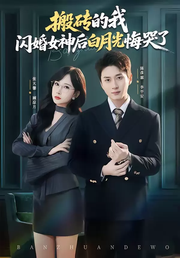 搬砖的我，闪婚女神后白月光悔哭了 - 海报